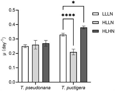 Transcriptomic responses to shifts in light and nitrogen in two congeneric diatom species